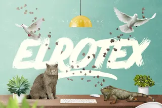 Elrotex Brush Font