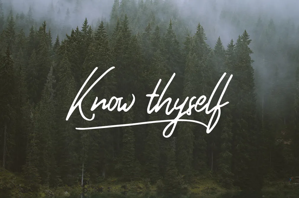 Sansa Dior Script Typeface