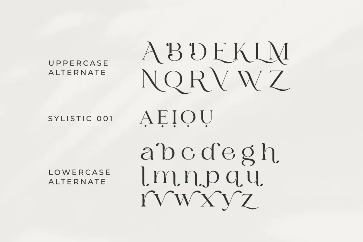 Bilgie - Chic Elegant Font