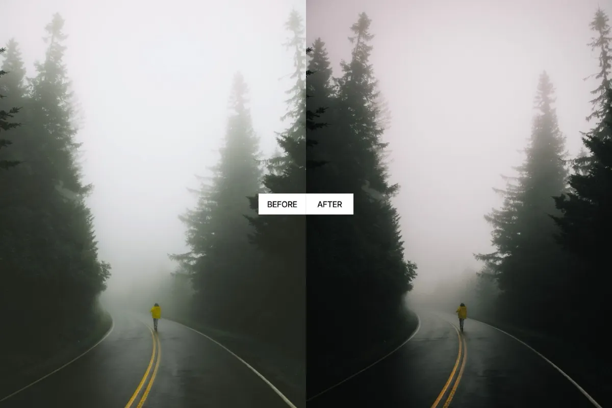 Dark Forest Moody Lightroom Presets