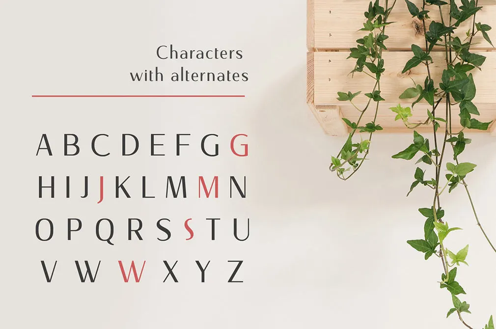 Nourishe Sans Serif Font