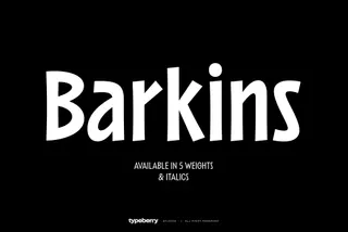 Barkins - Playful Sans Serif Font Family