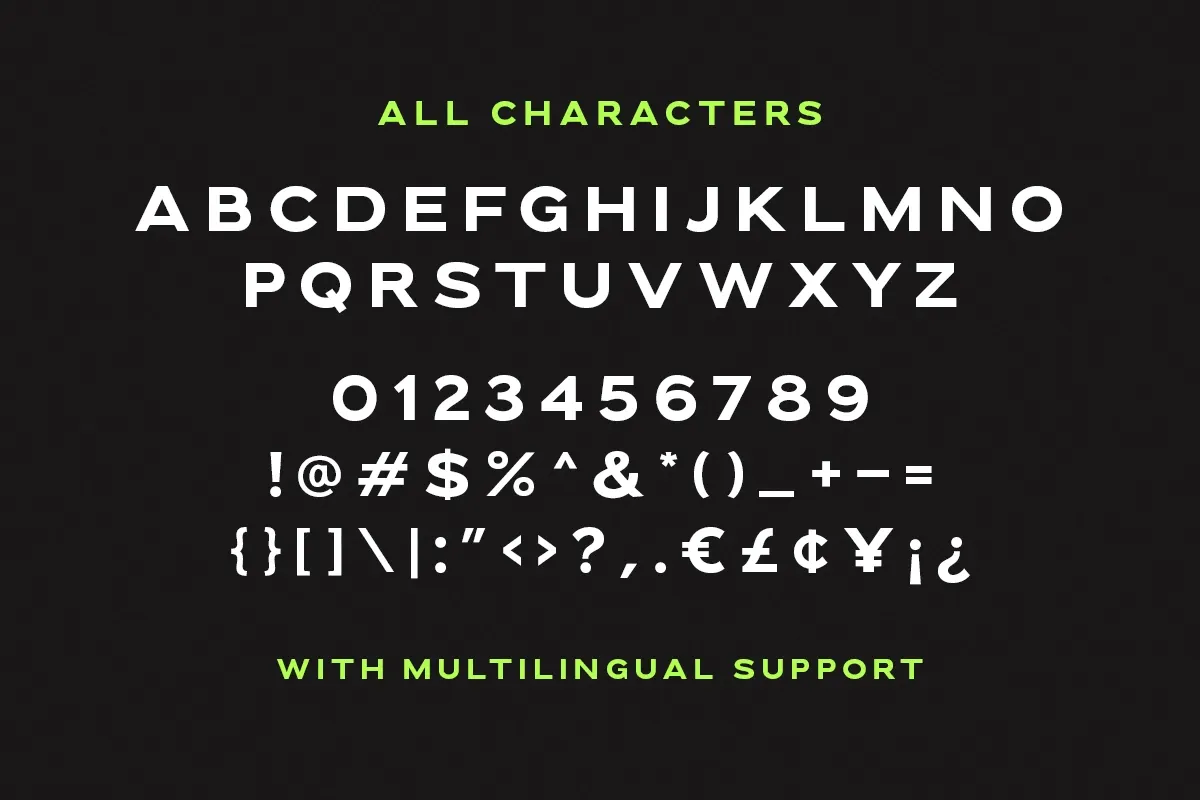 Downey - Powerful Wide Sans