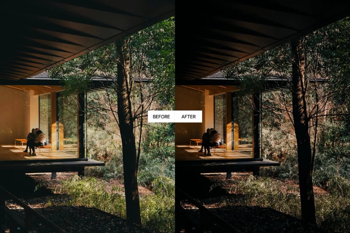 Dark Forest Moody Lightroom Presets