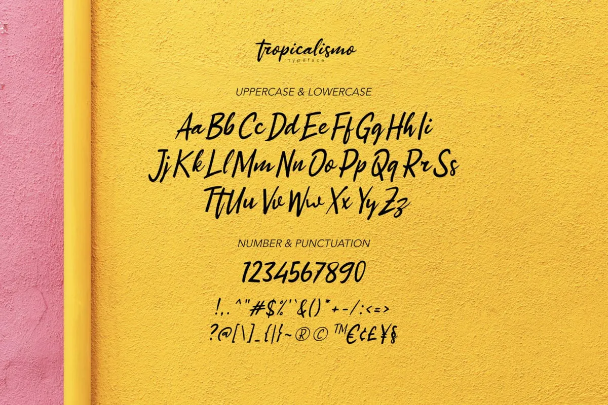 Tropicalismo - Tropical Font
