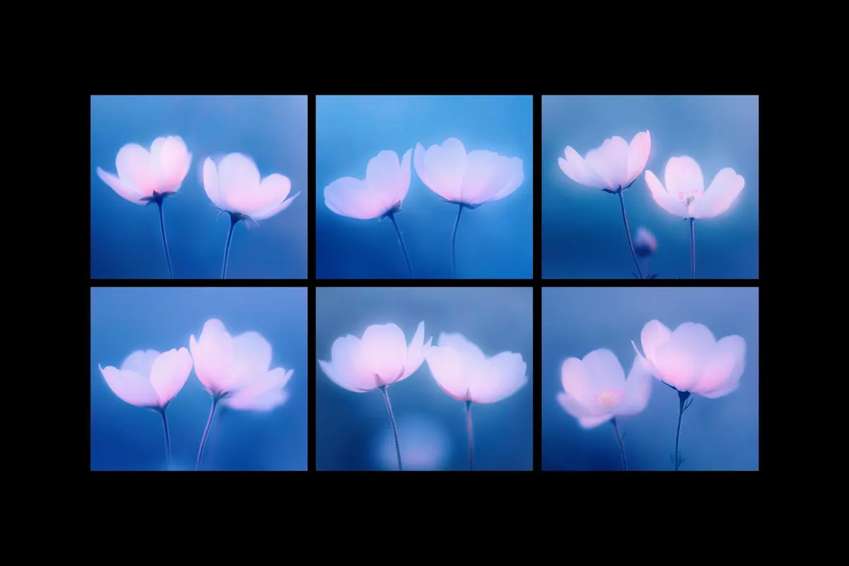 Abstract Blurred Flower Textures