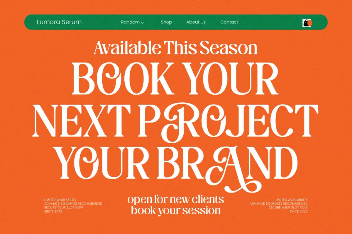 The Daily Midtones - Decorative Display Serif Font