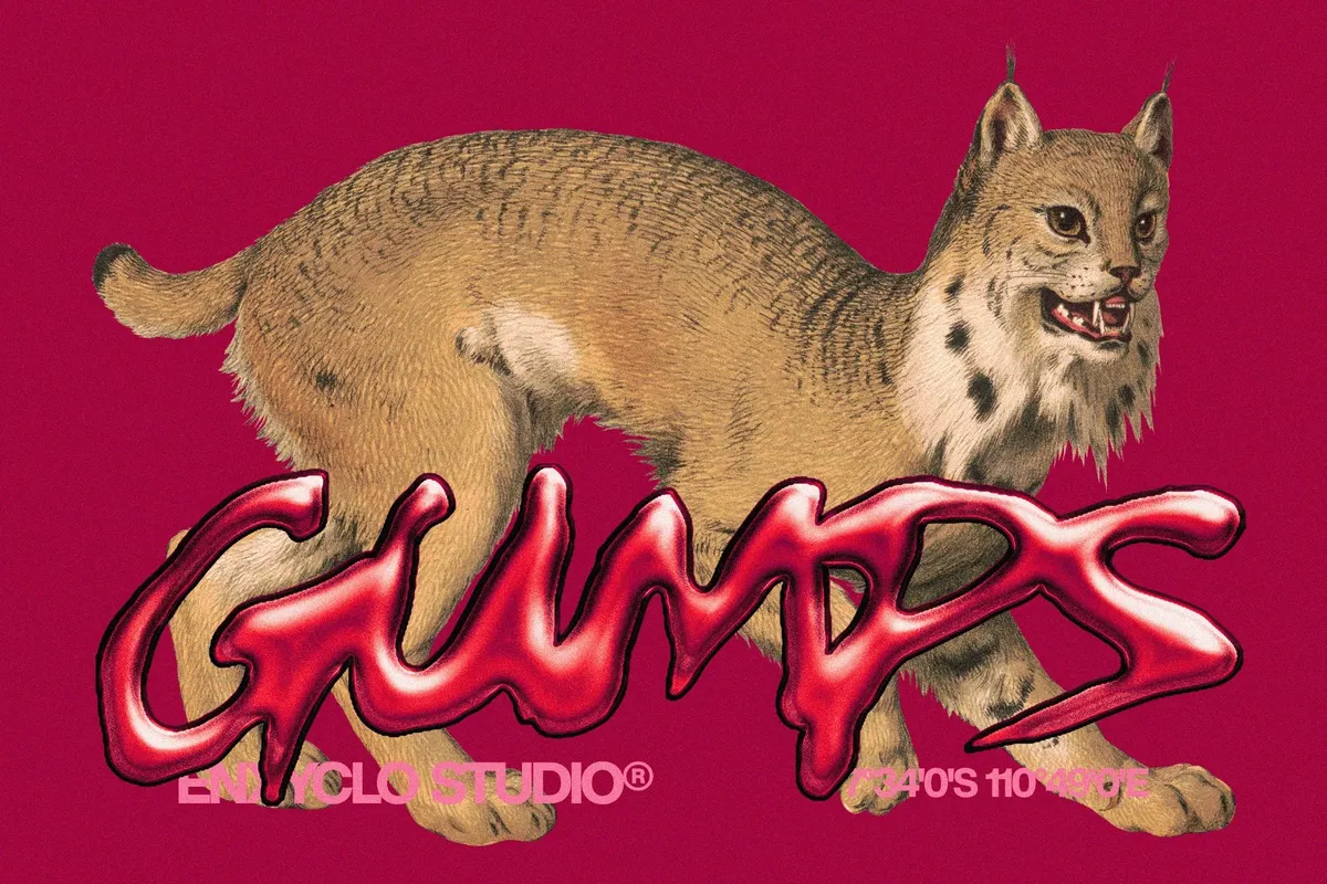 Gumps Over - Messy Brush Font