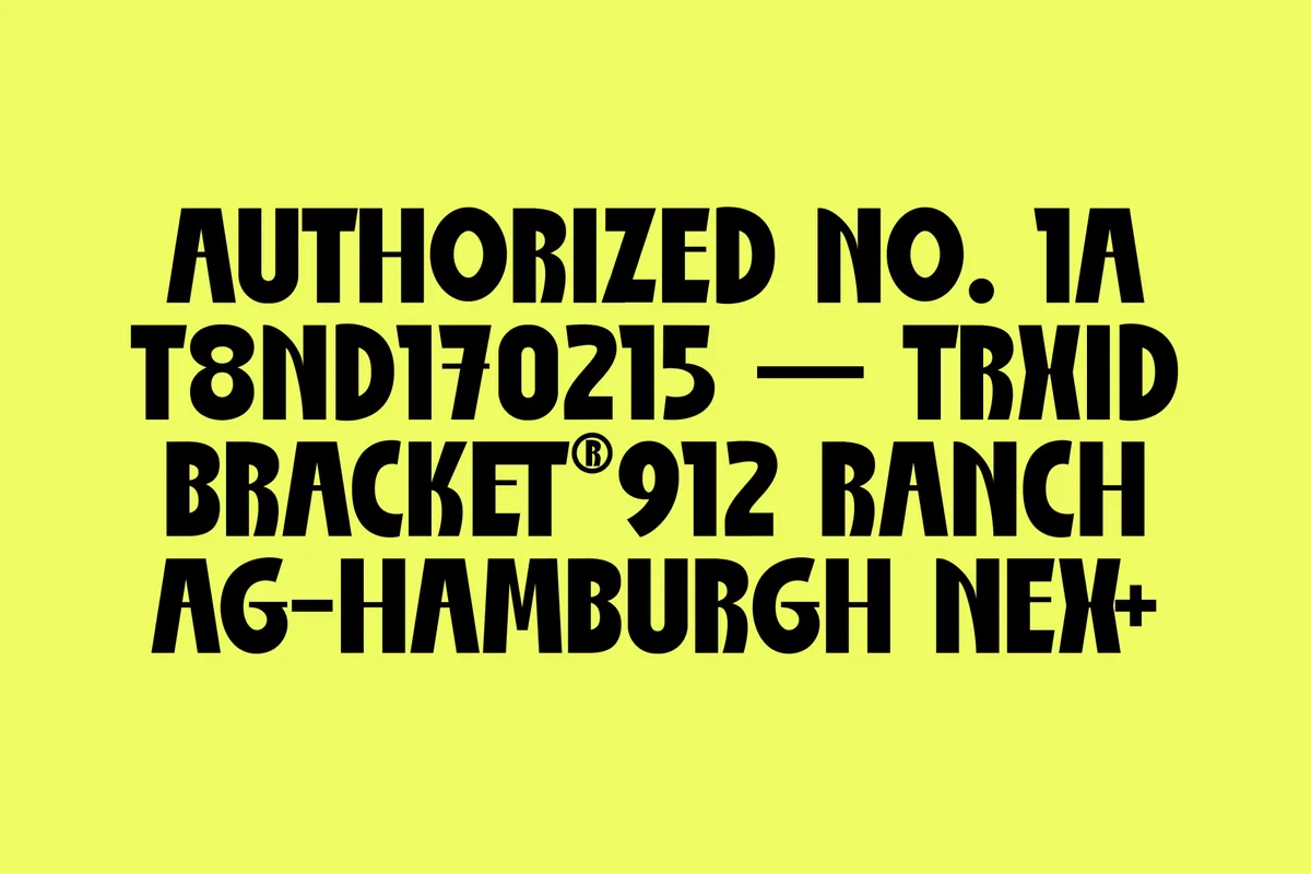 ST Nola Malibu - Script And Display Font Duo