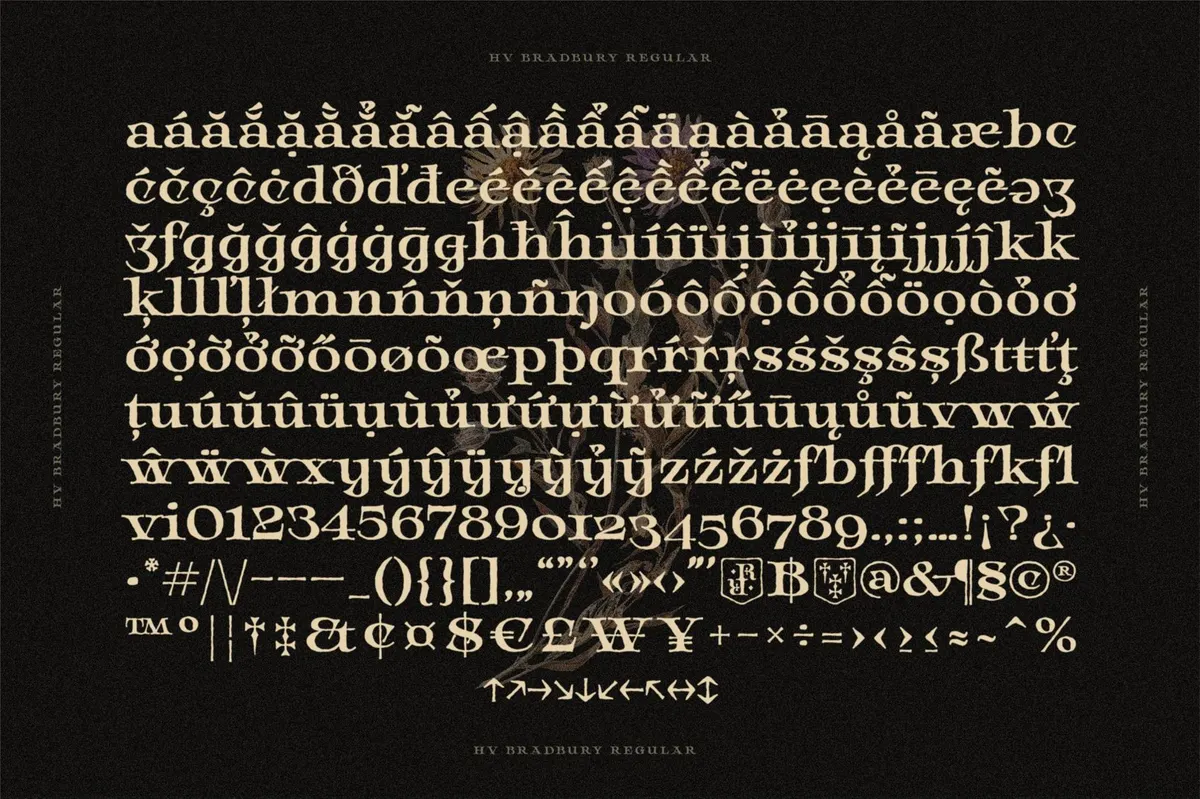 Bradbury — Display Serif