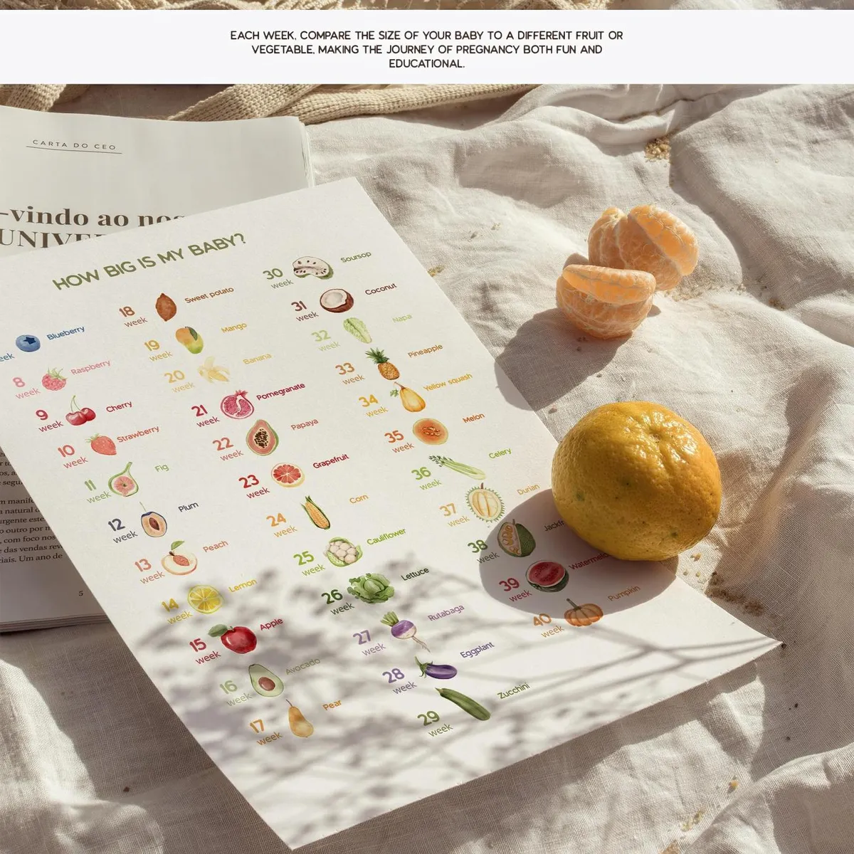 TINY — Watercolor Collection