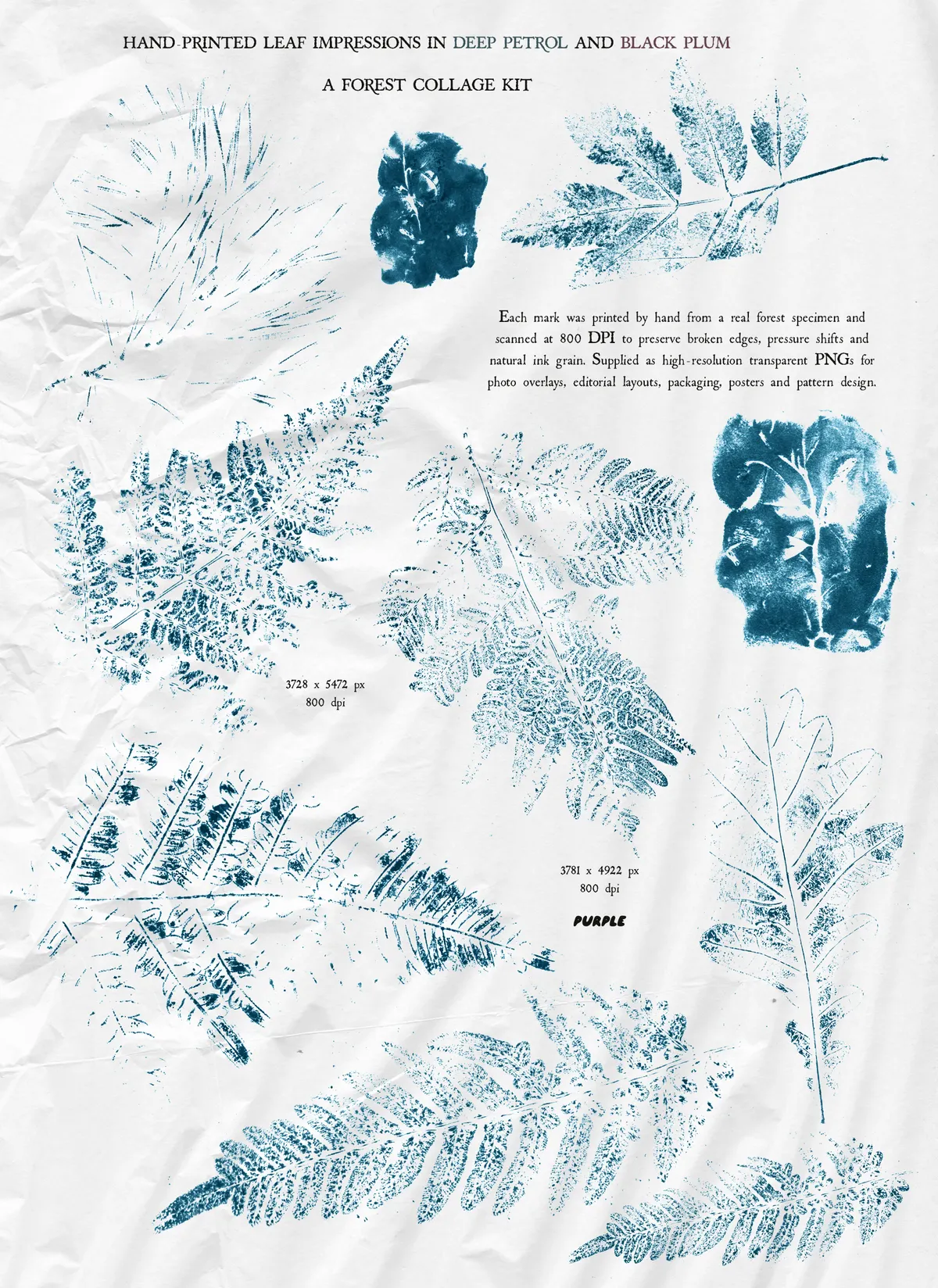 Underprint: Forest Collage Material Kit