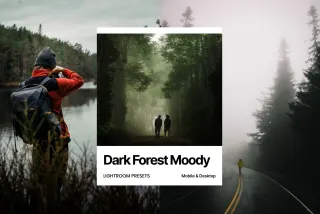 Dark Forest Moody Lightroom Presets
