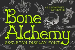Bone Alchemy - Skeleton Typeface