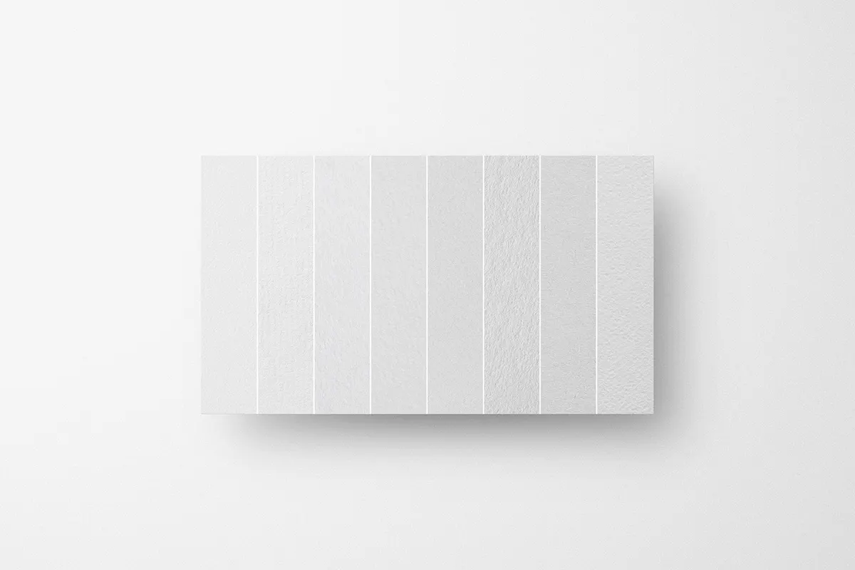 Selva: Business Card Mockup Kit