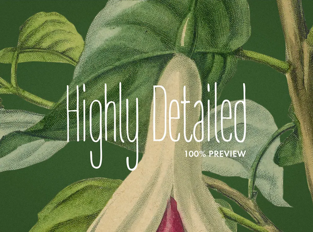 Vintage Herbarium Illustrations