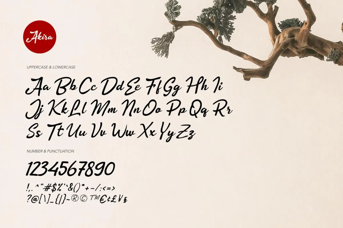 Akira - Zen Brush Script