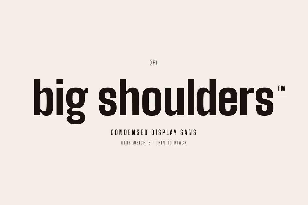 Big Shoulders Display - Free Font Family