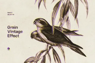Vintage Paper Print Effect