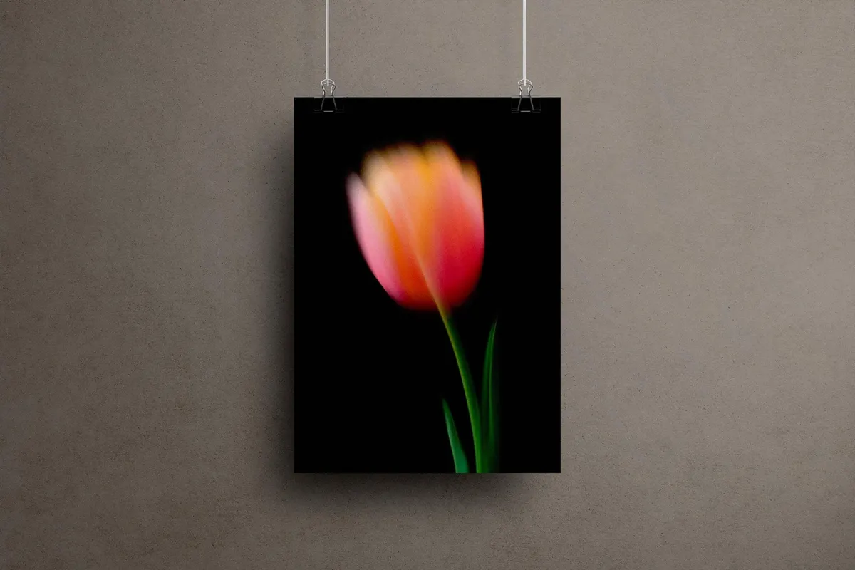 Dream Haze Flower Posters