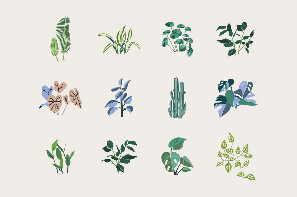 Indoor Plant Creator