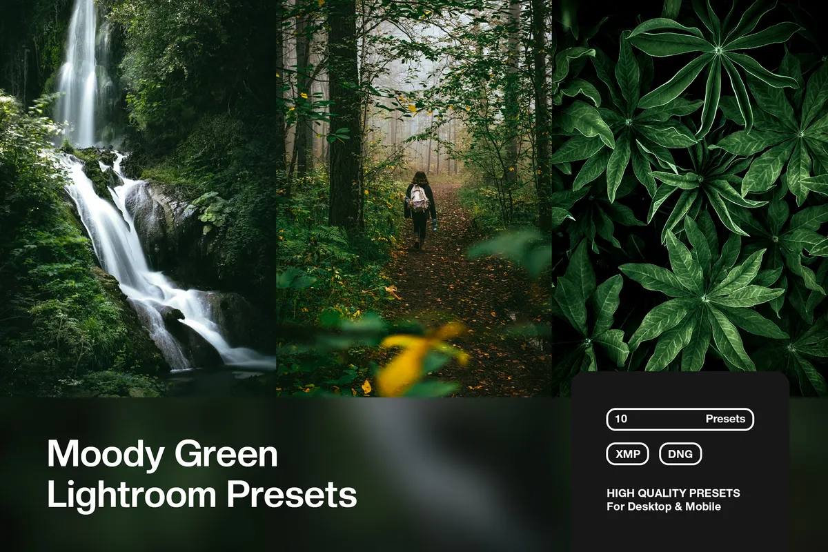 Moody Green Lightroom Presets
