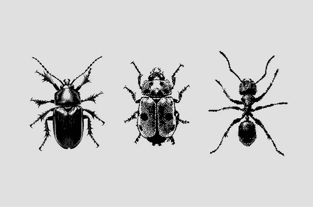 Bugs Dithering Bitmap Vector Shapes