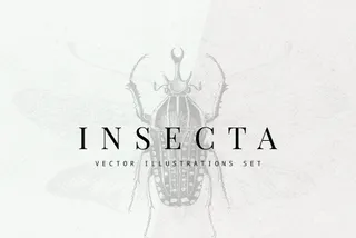 Insecta Vector Illustrations Set