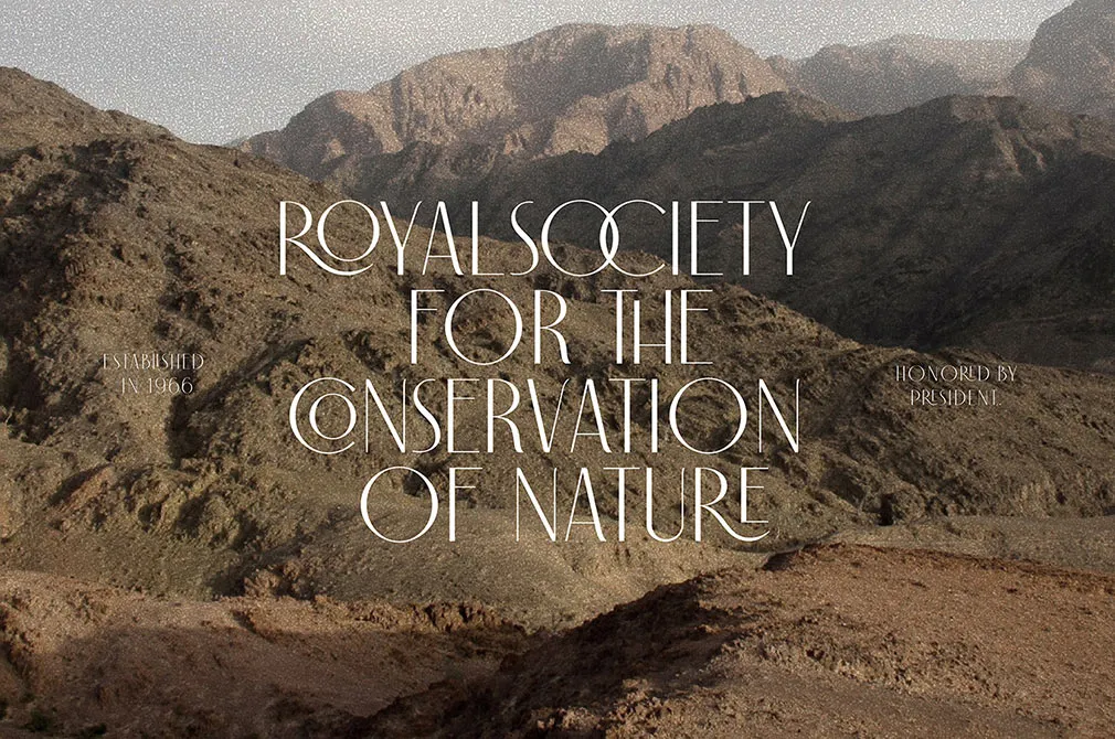 Carlo Monaco Sans Serif