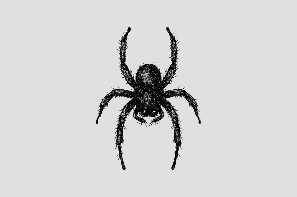 Bugs Dithering Bitmap Vector Shapes