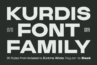 Kurdis - Bold Display Sans Family