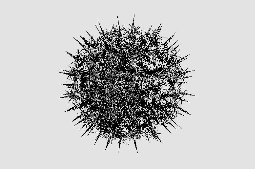 Abstract Dithering Bitmap Shapes