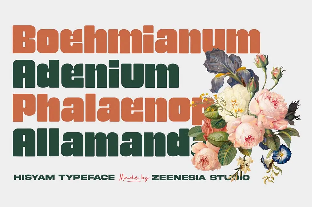 Hisyam Bold Typeface