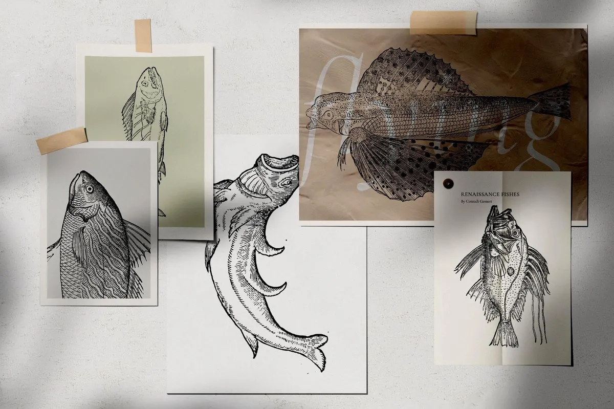A Renaissance Field Guide to Fish