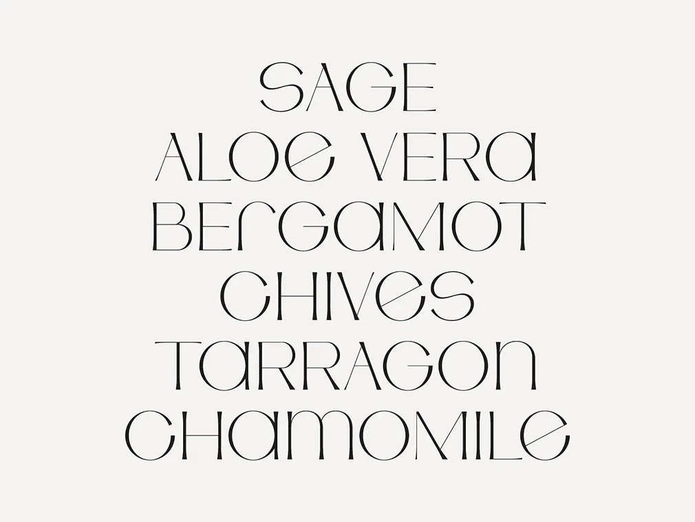 Artemis Serif Font
