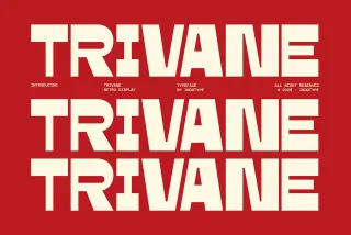 Trivane - Bold Reverse Contrast Display Font