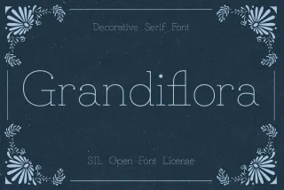 Grandiflora Elegant Serif