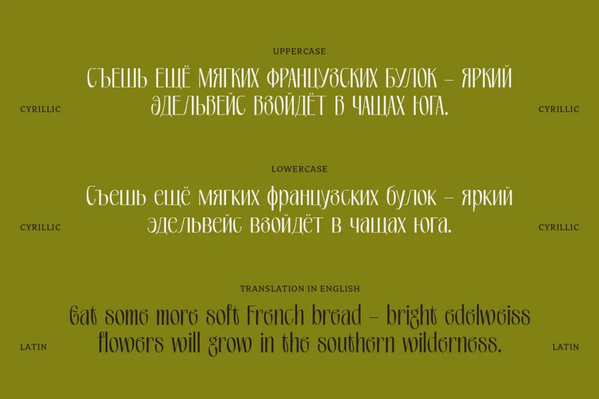 PRAK Moroway - Feminine Serif Font