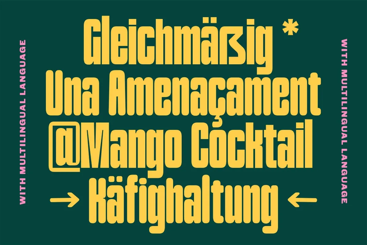TNSC Bashin - Condensed Sans