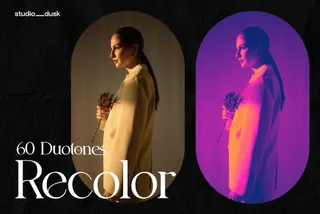 Recolor Duotones