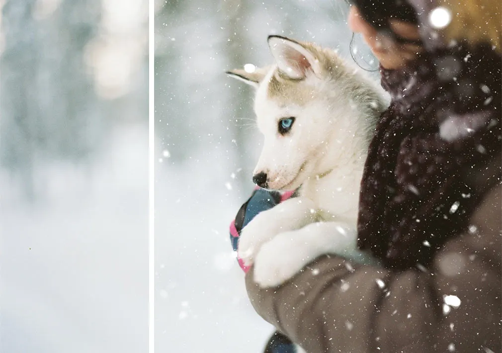 Magnificent Snow Overlays