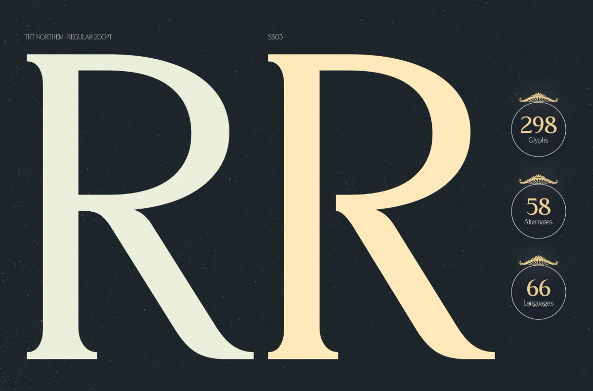 TRT Northem - Elegant Serif Font