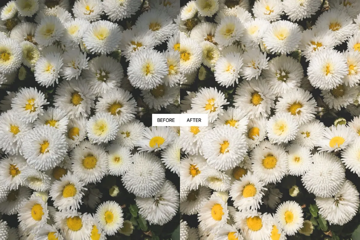 Bright Modern Aesthetic Lightroom Presets