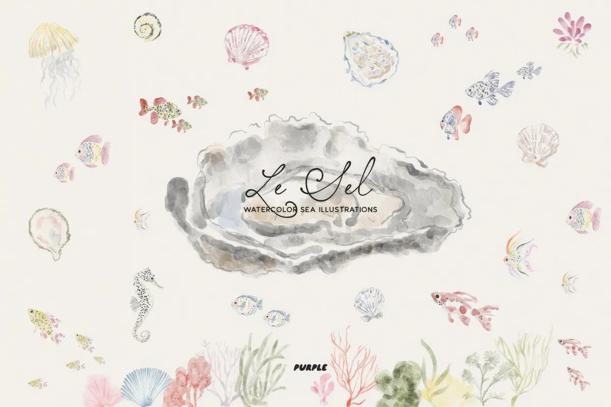 Le Sel: Watercolor Sea Illustrations