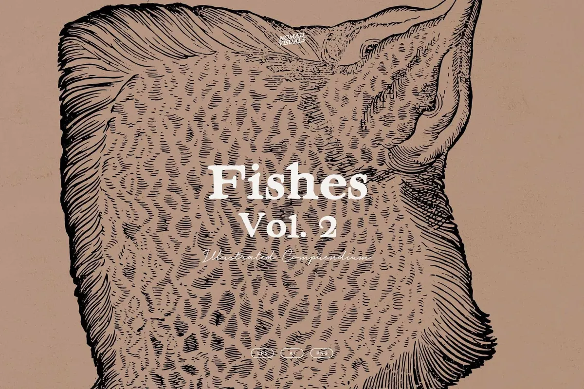 Fish Illustrations