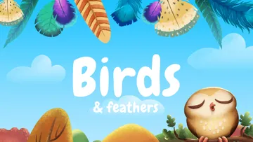 Birds & Feathers Graphic Pack