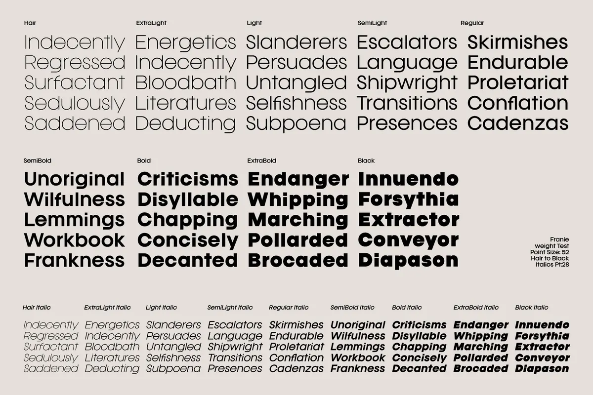 Franie - Geometric Sans Font Family
