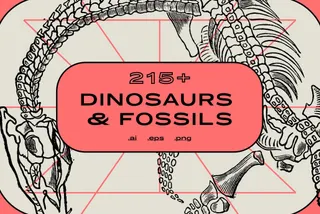 Dinosaurs and Fossils