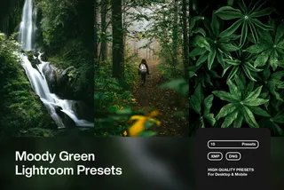 Moody Green Lightroom Presets