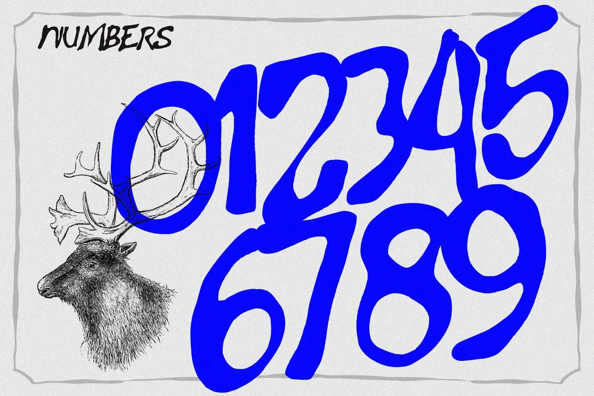 Gowak - Raw Expressive Brush Font